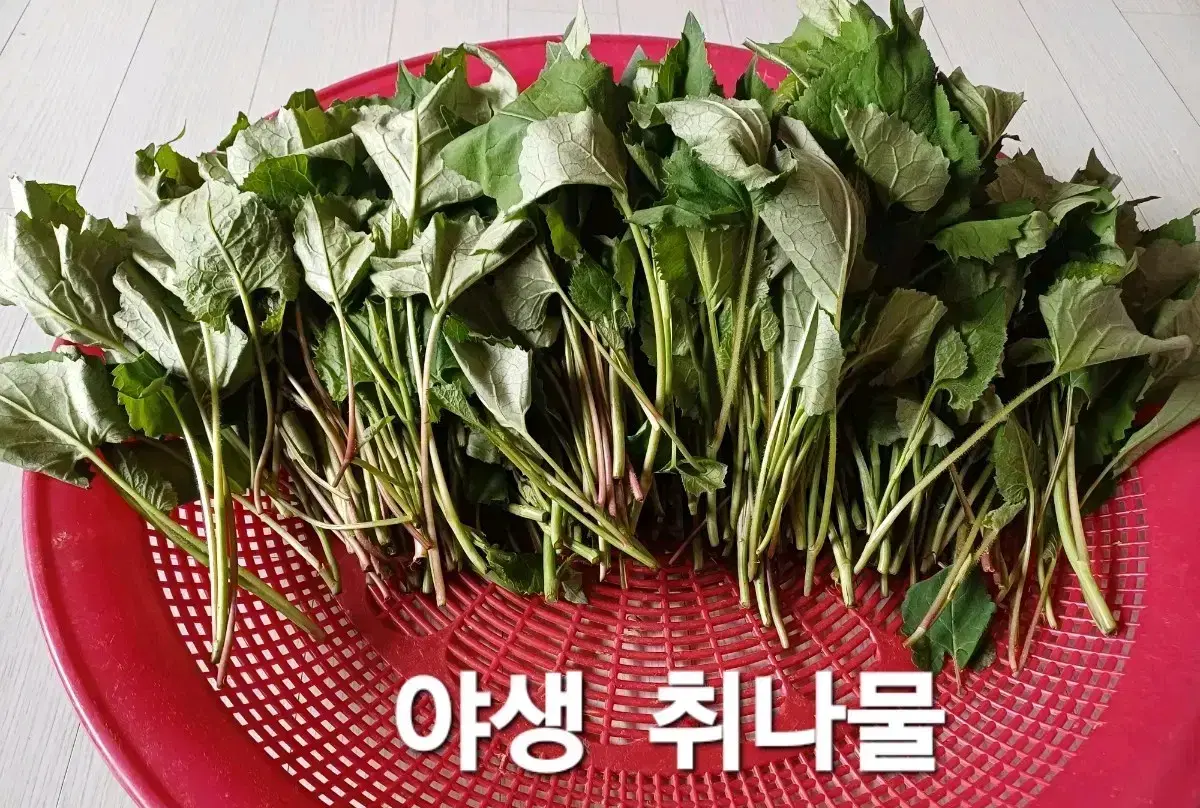 (문경산)야생 건취나물  (1봉지-50g)